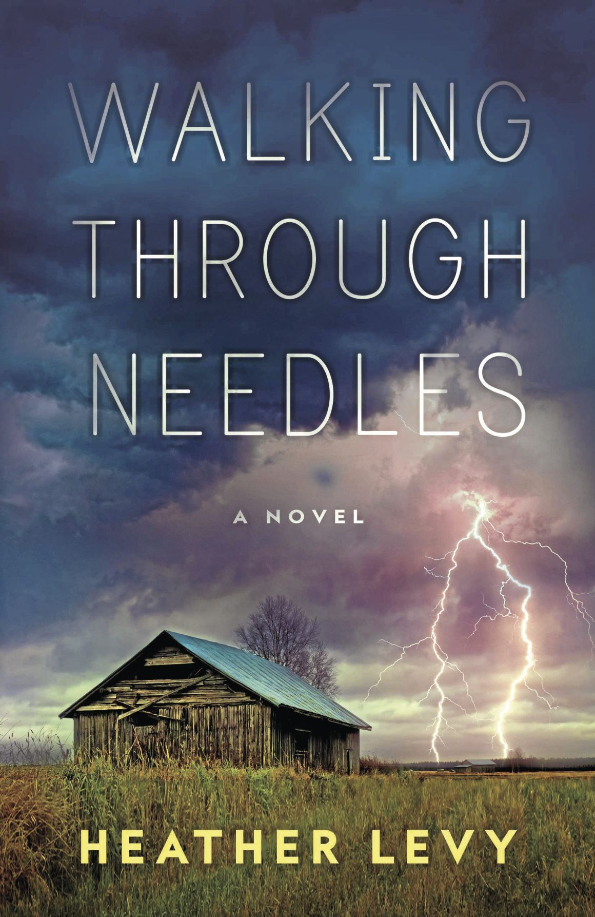 ‘Walking Through Needles’